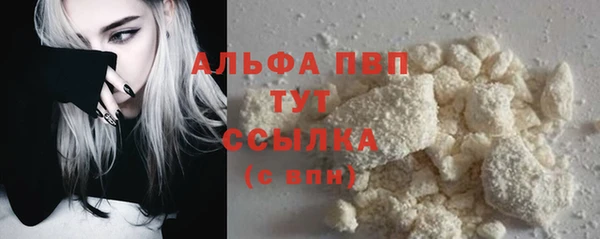 твердый Медногорск