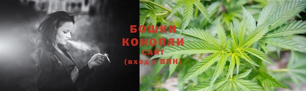 прущие крисы Медвежьегорск