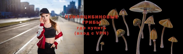 a pvp Мегион